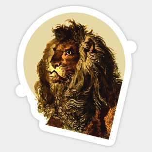 vintage lion drawing Sticker